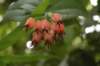 dsc_0126_small.jpg