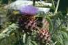 dsc_0160_small.jpg