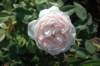 dsc_0180_small.jpg