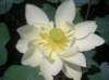pict0269_small.jpg