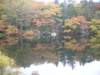 _pict0146_small.jpg