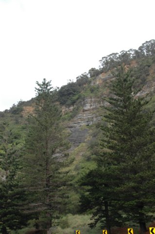 dsc_0153.jpg